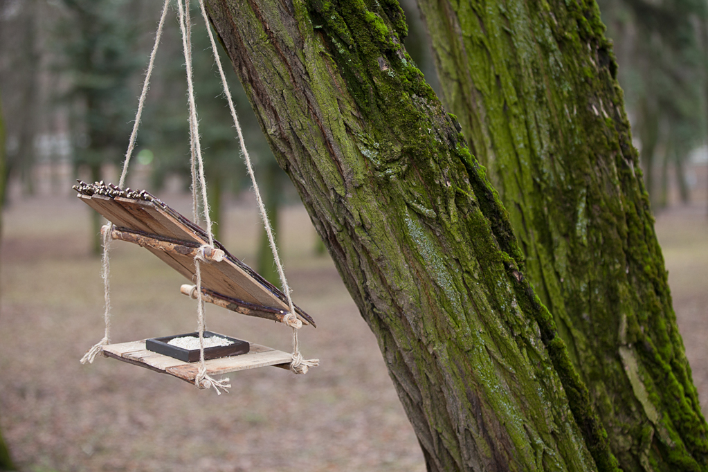 Кормушка для птиц, подвесная, со спилами веток дерева